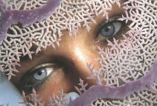AQUAWOMAN "FOR YOUR EYES ONLY" -  SEA FAN at 80 feet/26 meters - Cuba ~ id# aquawoman NP000