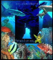 www.aqualocations.com  ~ underwater digital stock video and image library
